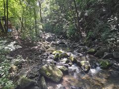 -香炉山国家森林公园