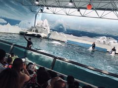 -秦皇岛乐岛海洋王国