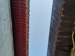 -椰子下蛋(南锣鼓巷店)