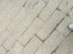 -温江公平红烧兔(总店)