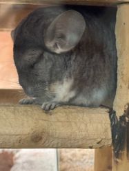 -酷嗒动物文化乐园(cutezoo西溪乐天城店)