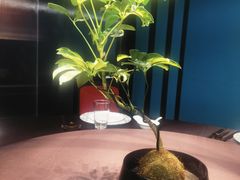 -逸馥荟(人广来福士店)