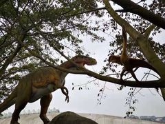 -自贡恐龙博物馆