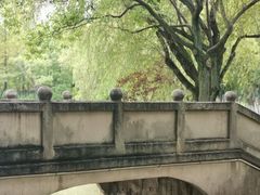 -瀛洲公园