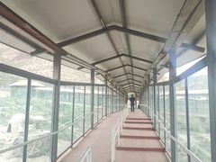 -新疆天山野生动物园