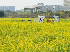 -光明小镇欢乐田园