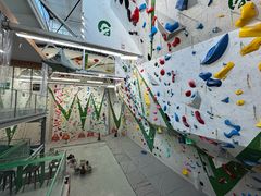 -绿壁虎攀岩基地(Tcar店)
