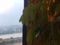 -长沙富力万达文华酒店