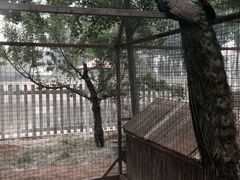 -意大利农场度假村