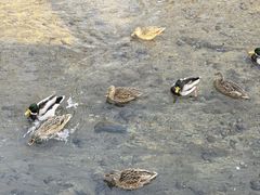 -元大都城垣遗址公园