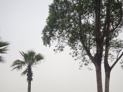 -仙湖旅游度假区