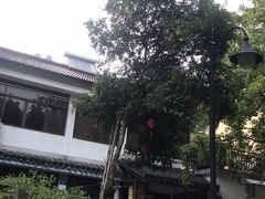 -国生茶庄·地道农家菜团建活动
