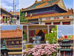 -大召无量寺