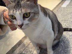 -谜盒子奇幻密室(南屏店)