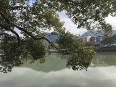 -溪口-滕头旅游景区