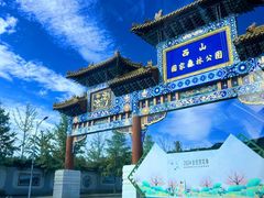 -北京西山国家森林公园