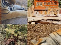 -云南野生动物园
