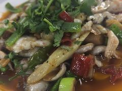 -潼南太安名鱼•特色江湖菜 太安鱼