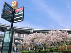 -南浦大桥长途旅游客运站