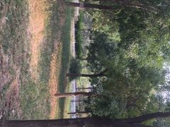 -回龙观体育文化公园