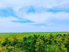 -南汇嘴观海公园