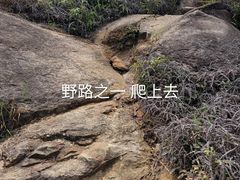 -大罗山风景区