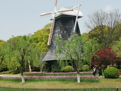 -上海鲜花港