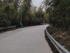 -长沙黑麋峰国家森林公园