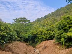 -大雁山风景区