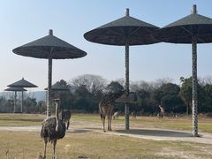 -宁波野生动物园