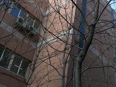 -辽宁大学(崇山校区)