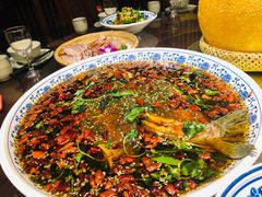 杨记招牌鱼-杨记隆府(白象街店)