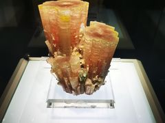 -安徽省地质博物馆