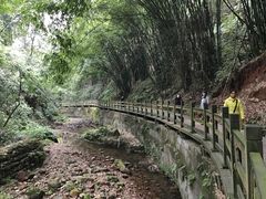 -凤栖山