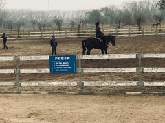 -月河湾马术俱乐部(朝阳店)