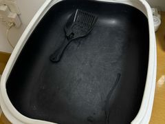 -宠爱国际动物医院· 猫科· 外科·中兽医(长白店)