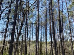 -萨尔浒风景区