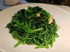 -菉雅苑·湛江菜(前海卓越INTOWN店)