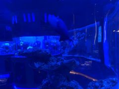 -上和臻品中国菜(花园街店)