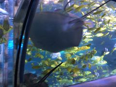 -太平洋海底世界