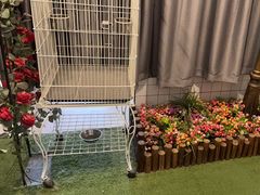 -JOJO实景沉浸侦探剧本杀(大悦城店)