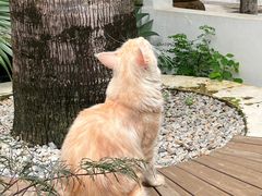 -自由生长植物工作室(深港花卉中心店)