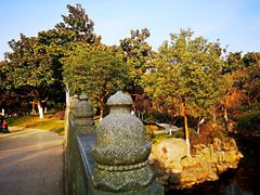 -花溪公园