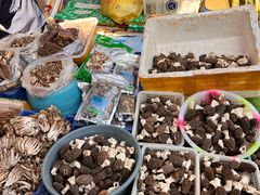 -南坛综合农贸市场