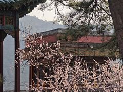 -须弥福寿之庙