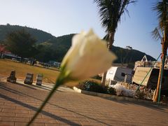-玫瑰海岸文化旅游度假区