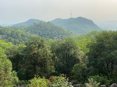 -大雁山风景区