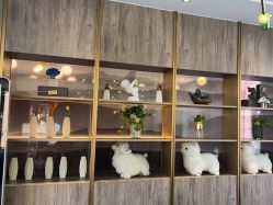 -爱儿美儿童摄影(朝阳公园店)