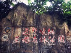 -西双版纳原始森林公园