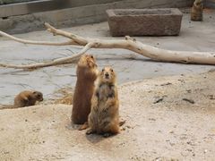 -南戴河国际娱乐中心